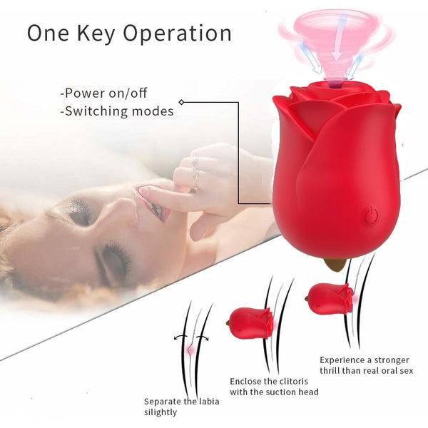 2 in 1 Frequencies Clitoral Vibrator Oral Suction Tongue Licking Rechargeable