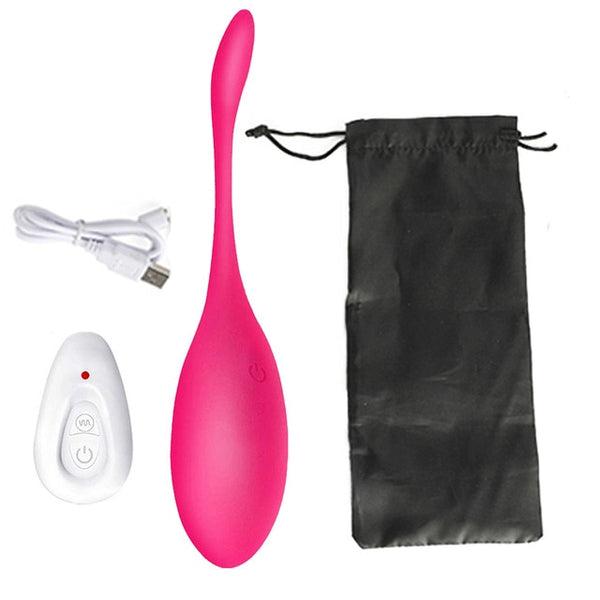 Wireless  APP Control Vibrating Egg Vibrator Wearable Panties