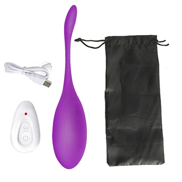 Wireless  APP Control Vibrating Egg Vibrator Wearable Panties