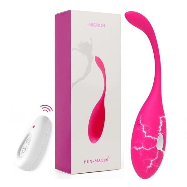 Wireless  APP Control Vibrating Egg Vibrator Wearable Panties